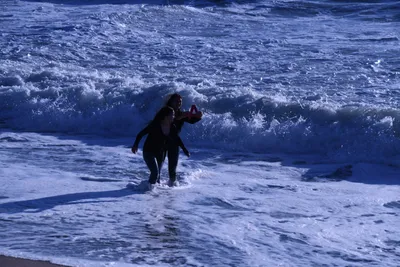 DSC_0518 (Large).JPG